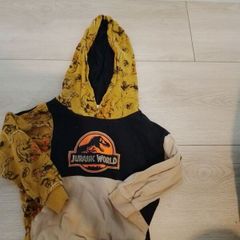 boys Jurassic park hoodie
