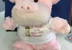 Personalised Photo Pippa Pig Crazy Critter cuddly soft toy with your photo and text