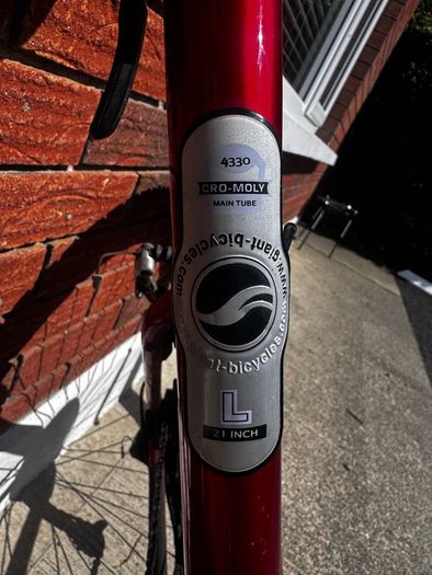 Giant Bike