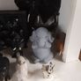 Elephant collection Image 6