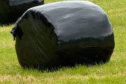 Haylage