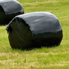 Haylage