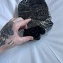 Aputure Light Dome SE 85cm Softbox + Grid | Complete Kit | Bowens Mount Image 5