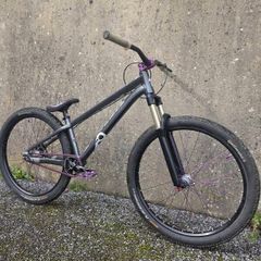 Specialized P3 P series DJ Pumptrack