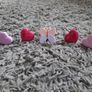5 knobs Image 5