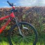 bike Image 6
