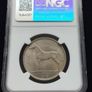 Ireland 1954 | Half Crown | Irish 2s6d | Horse | KM.16a | MS65 Image 2
