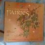 How to Draw Fairies & How to paint realistic Flowers Image 2