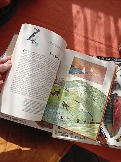 Nature Books