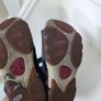 Camper sandals (size 31) Image 5