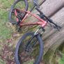 Orbea onna Image 3