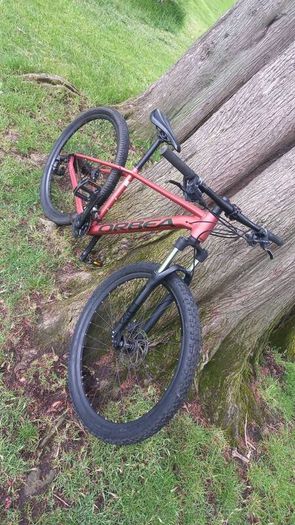 Orbea onna