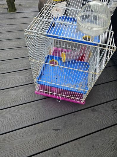 hamster cage