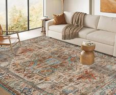 Washable Rugs for Living Room 160x230cm Non-Slip Soft Bedroom Rugs Thin Distressed Carpet Rug Low Profile Floor Rug for Office Bathroom Dinning Room Playroom(Terracotta)