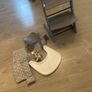 Stokke Tripp Trapp High chair Image 3