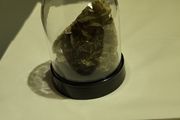 Siderite mineral