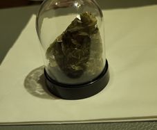 Siderite mineral
