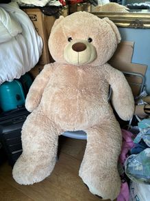 Giant Teddy Bear