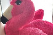 Large pink Flamingo