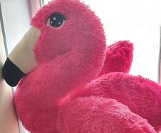 Large pink Flamingo