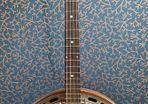 Epiphone Tenor Banjo