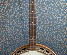 Epiphone Tenor Banjo