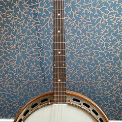 Epiphone Tenor Banjo