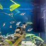 125 Litre Tank Setup Image 5