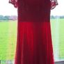 Coral Lace Dress Size 12 (Never worn) Image 3