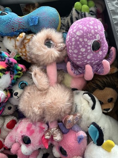 beanie boos