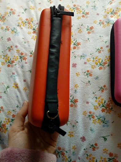 3DS cases