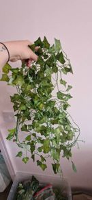 wedding greenery