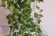 wedding greenery