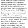 plant-based supplement Floradix Iron Elixir packed with vitamins & iron Image 2