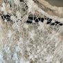 Massimo Dutti off white cotton dress Image 2