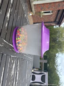 FREE Gold Fish Bowl