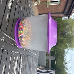 FREE Gold Fish Bowl