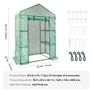4.6 x 2.4 x 6.7 ft Greenhouse with Shelves, Set Up in Minutes, High Strength PE Cover with Doors & Windows and Steel Frame, Suitable for Planting and Storage, Green Image 2