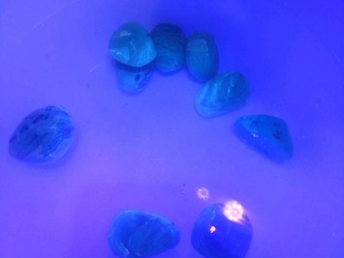 Ultra rare large blue Baltic amber 30+ct