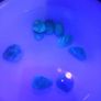 Ultra rare large blue Baltic amber 30+ct Image 4
