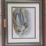 John Gould Framed Vintage Prints - Set of 3 Image 6