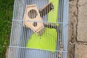 cage