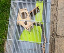 cage