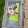 small hamster cage Image 2