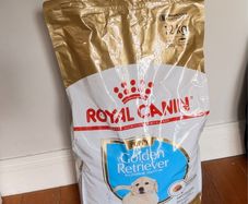Royal Canin Golden Retriever Puppy - dog dry food