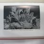 Vintage Book. The Flower Growers Handbook Image 4