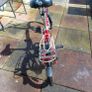 bikes Image 7