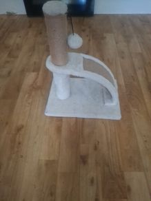 Cat scratching post