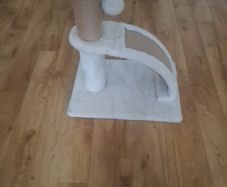 Cat scratching post