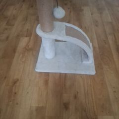 Cat scratching post
